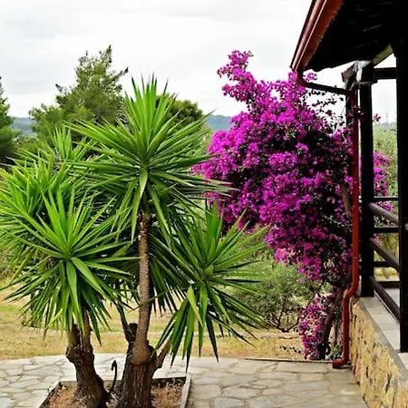 Nyaraló Rozalenia Mare